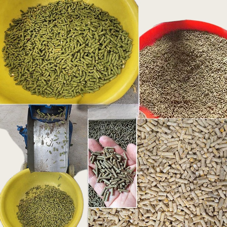 Pelletizer Machine for Animal  - đánh giá và giá Wood Pellet Making Machine